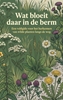 Afbeelding van Wat bloeit daar in de berm