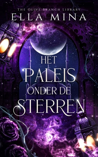 Afbeelding van Het paleis onder de sterren