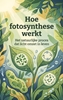 Afbeelding van Hoe fotosynthese werkt