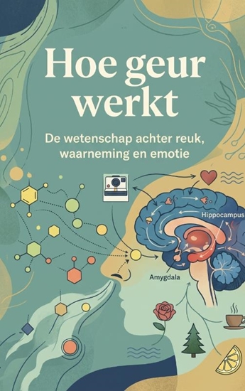 Afbeelding van Hoe geur werkt