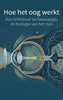 Afbeelding van Hoe het oog werkt