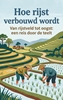 Afbeelding van Hoe rijst verbouwd wordt