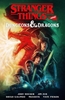 Afbeelding van Stranger Things and Dungeons & Dragons (Graphic Novel)