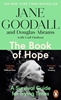 Afbeelding van Global Icons Series The Book of Hope