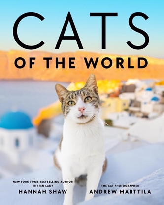 Afbeeldingen van Cats of the World