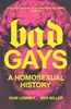 Afbeelding van Bad Gays