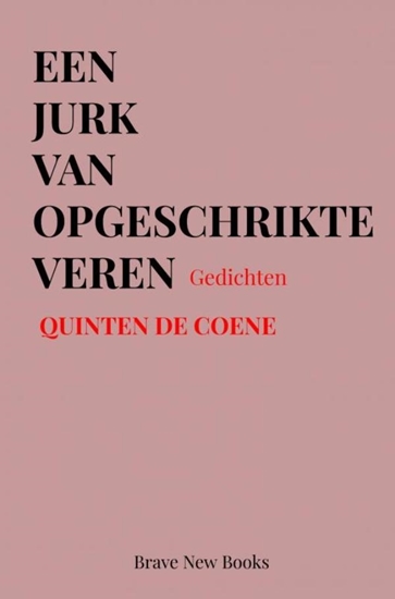 Afbeelding van Een jurk van opgeschrikte veren
