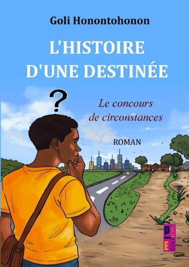 Afbeelding van L'histoire d'une destinée