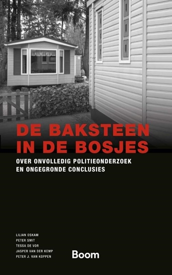 Afbeelding van Gerede Twijfel De baksteen in de bosjes