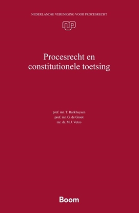 Afbeeldingen van Nederlandse Vereniging voor Procesrecht Procesrecht en constitutionele toetsing