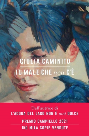 Afbeelding van Il male che non c'è