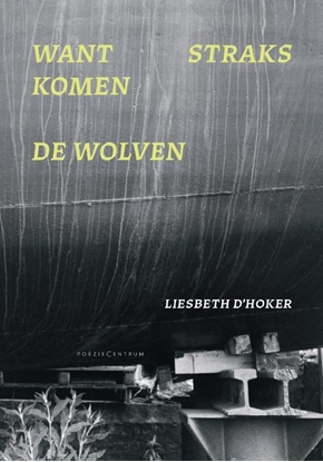 Afbeeldingen van Want straks komen de wolven