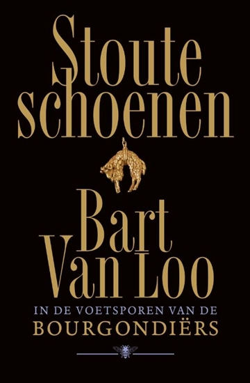Afbeelding van Stoute schoenen