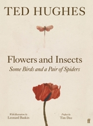 Afbeeldingen van Flowers and Insects, Some Birds and a Pair of Spiders