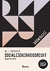 Afbeelding van Boom Basics Socialezekerheidsrecht