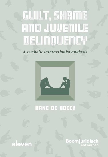 Afbeelding van Guilt, Shame and Juvenile Delinquency