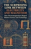 Afbeelding van The Surprising Link Between Electricity and Magnetism