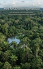 Afbeelding van Het Amazoneregenwoud