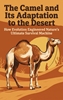 Afbeelding van The Camel and Its Adaptation to the Desert