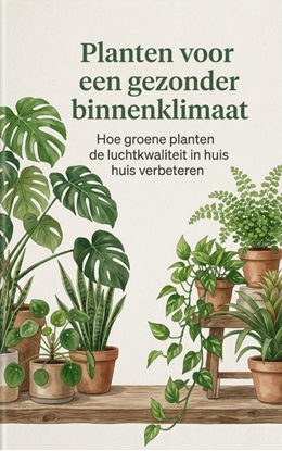 Afbeeldingen van Planten voor een gezonder binnenklimaat