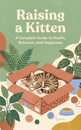 Afbeelding van Raising a Kitten
