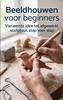 Afbeelding van Beeldhouwen voor beginners