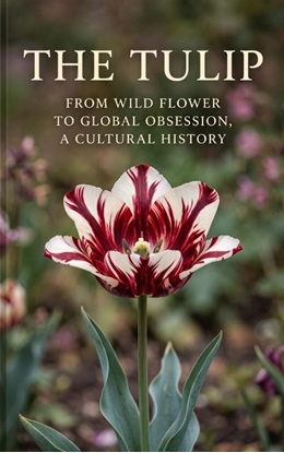 Afbeeldingen van The Tulip