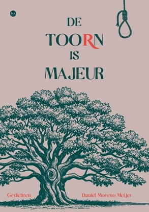 Afbeeldingen van De toorn is majeur