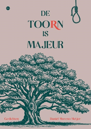 Afbeelding van De toorn is majeur