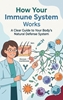 Afbeelding van How Your Immune System Works
