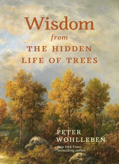 Afbeelding van David Suzuki Institute Wisdom from the Hidden Life of Trees