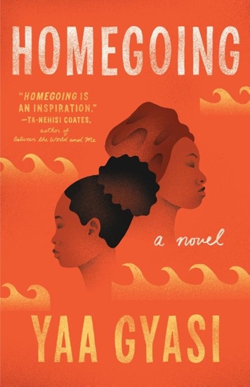 Afbeelding van Homegoing