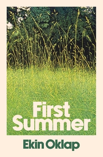 Afbeelding van Summit Books UK First Summer