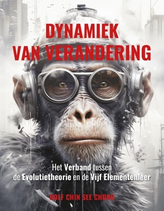 Afbeeldingen van Dynamiek van verandering