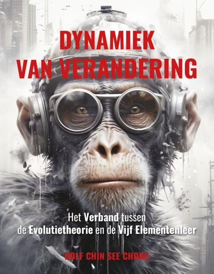 Afbeelding van Dynamiek van verandering