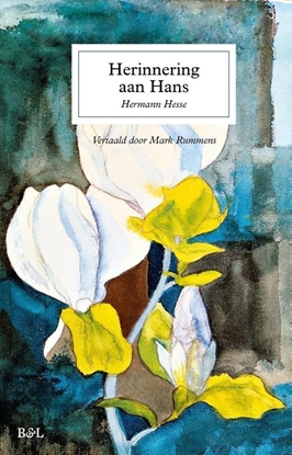 Afbeeldingen van Herinneringen aan Hans