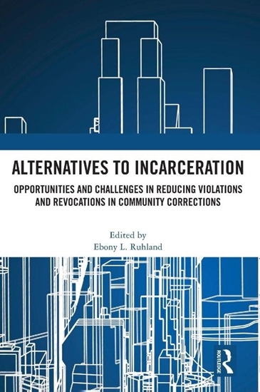 Afbeelding van Alternatives to Incarceration