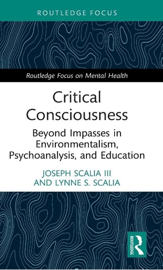 Afbeelding van Routledge Focus on Mental Health Critical Consciousness