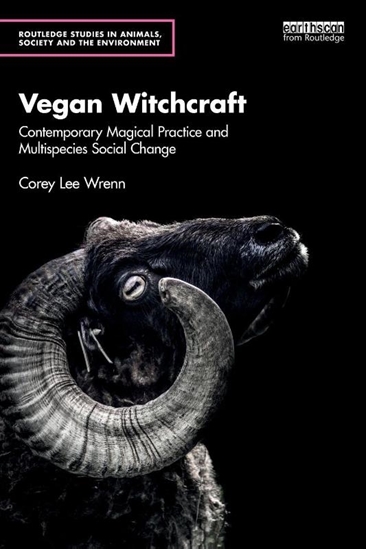 Afbeelding van Routledge Studies in Animals, Society and the Environment Vegan Witchcraft