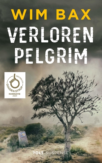 Afbeelding van Verloren pelgrim