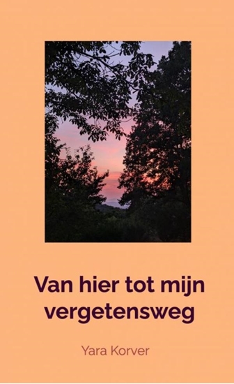 Afbeelding van Van hier tot mijn vergetensweg