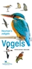 Afbeelding van Hayman's zakgids Vogels