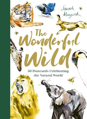 Afbeeldingen van The Wonderful Wild