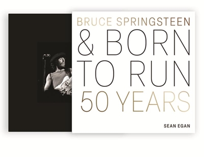Afbeeldingen van The Great Albums Bruce Springsteen and Born to Run