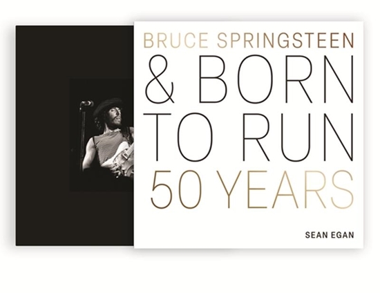 Afbeelding van The Great Albums Bruce Springsteen and Born to Run