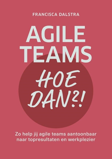 Afbeelding van Agile teams, hoe dan?!