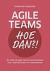 Afbeelding van Agile teams, hoe dan?!