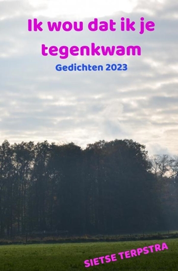 Afbeelding van Ik wou dat ik je tegenkwam