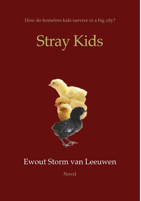 Afbeeldingen van Stray Kids