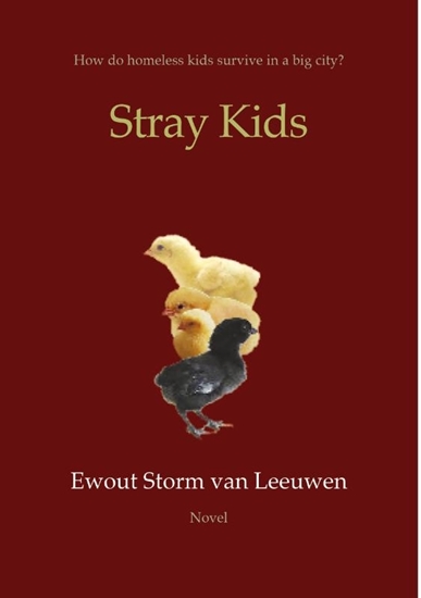 Afbeelding van Stray Kids